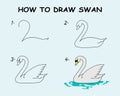 Step by step to draw a Swan. Drawing tutorial a Swan. Drawing lesson for children. Vector illustration Royalty Free Stock Photo