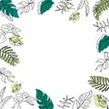 Floral frame, border. fresh leaf illustration on white background. hand drawn vector. nature background. unique leaf. foliage icon Royalty Free Stock Photo