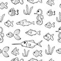 Marine life background. sea animal icon. fish, seahorse and seaweed illustration isolated on white background. black and white col Royalty Free Stock Photo