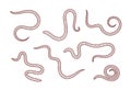 Earthworm outline. Isolated earthworm on white background Royalty Free Stock Photo