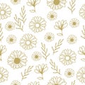 Vintage nature background. chamomile flower with leaf illustration isolated on white background. hand drawn vector. seamless patte Royalty Free Stock Photo