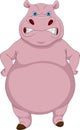 Angry hippo cartoon on white background Royalty Free Stock Photo