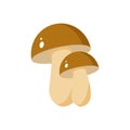 Mushroom forest vector icon line colored EPS 10.