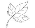 Cotton leaf, plant element - vector linear picture for coloring. Outline. Cotton leaf for coloring book