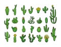 Vector drawing with various cacti.