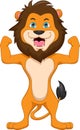 Cute lion cartoon on white background Royalty Free Stock Photo