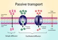 Passive Transport. Simple diffusion and facilitated diffusion Royalty Free Stock Photo