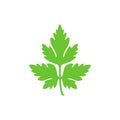 Parsley logo. Isolated parsley on white background