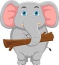 Cute elephant carrying wooden logs