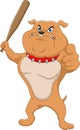 Angry bulldog holding baseball stick cartoon