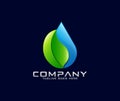 Waterdrop and leaf logo design Natural Drop Water Spa Logo