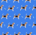 Cute cool beagle puppy seamless repeat. pattern.