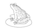 Frog on a leaf of a water lily - a vector linear picture for a coloring book, logo or pictogram. Outline. Toad or frog, small amph