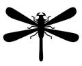 Dragonfly predatory insect - vector silhouette picture for logo or pictogram. Dragonfly, animal for sign or icon, animal for ident