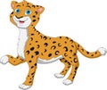 Cute baby cheetah cartoon on white background Royalty Free Stock Photo