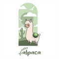 Cute alpaca sisters. The youngest. Royalty Free Stock Photo