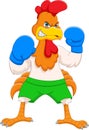 Cute chicken boxing cartoon Royalty Free Stock Photo