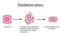 Oxidative stress, cellular damage, Free radicals cause oxidation e and damage of cellular components. vector illustration