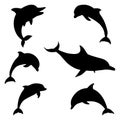 Dolphin Silhouettes Set Royalty Free Stock Photo