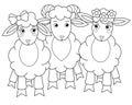 Two sheep and a ram, a herd of cute animals - a vector linear picture for coloring. Outline. A pair of sheep and a ram - character