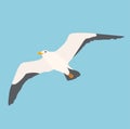 Cartoon atlantic seabird, seagulls flying