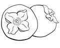 Persimmon, two sweet tart autumn fruits with cuttings - vector line art picture for coloring book, logo or pictogram. Royalty Free Stock Photo