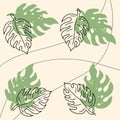 boho leaf wall art illustration vector background sketch