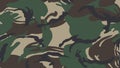 Texture Green Military Army Camouflage Pattern or Background