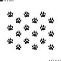 Lion paw prints. Isolated paw prints on white background