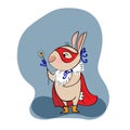 Funny bunny in a fancy dress