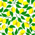 Branches with lemons, white background.