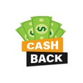 The cash back vector icon is isolated on a white background.