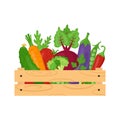 Wooden crate with fresh organic vegetables. Farmer\'s market, healthy eating or vegan food themes. Royalty Free Stock Photo