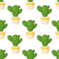 Vector illustration of a pattern of round cacti. Seamless picture of cacti in a white vase.