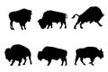 Set of silhouettes of bison vector design , white isolated background
