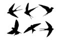 Set of silhouettes of swallows vector design Royalty Free Stock Photo