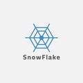 Cobweb Shaped Snowflake Logo