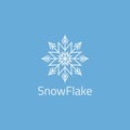 Snowflake Logo With Octagram Shape