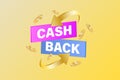 Cash back service, financial payment label. Vector illustration