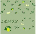 story about lemon tree Royalty Free Stock Photo