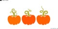 Abstract pumpkin. Isolated vegetables on white background