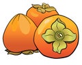 Ripe persimmon fruits - vector full color picture with vegetable food. Three persimmons Royalty Free Stock Photo