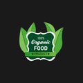 Organic food logo design vector