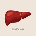 liver healthy vector illustration flat medicine poster