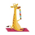 Giraffe is sitting on a blanket or towel, eating a large multi-colored ice cream.