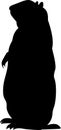 groundhog vector silhouette black