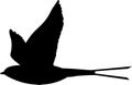 swallow vector silhouette black