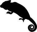 chameleon vector silhouette black Royalty Free Stock Photo