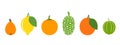 Fruit logo. Isolated fruit on white background Royalty Free Stock Photo