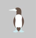 Brown booby logo. Isolated booby on white background. Gannet